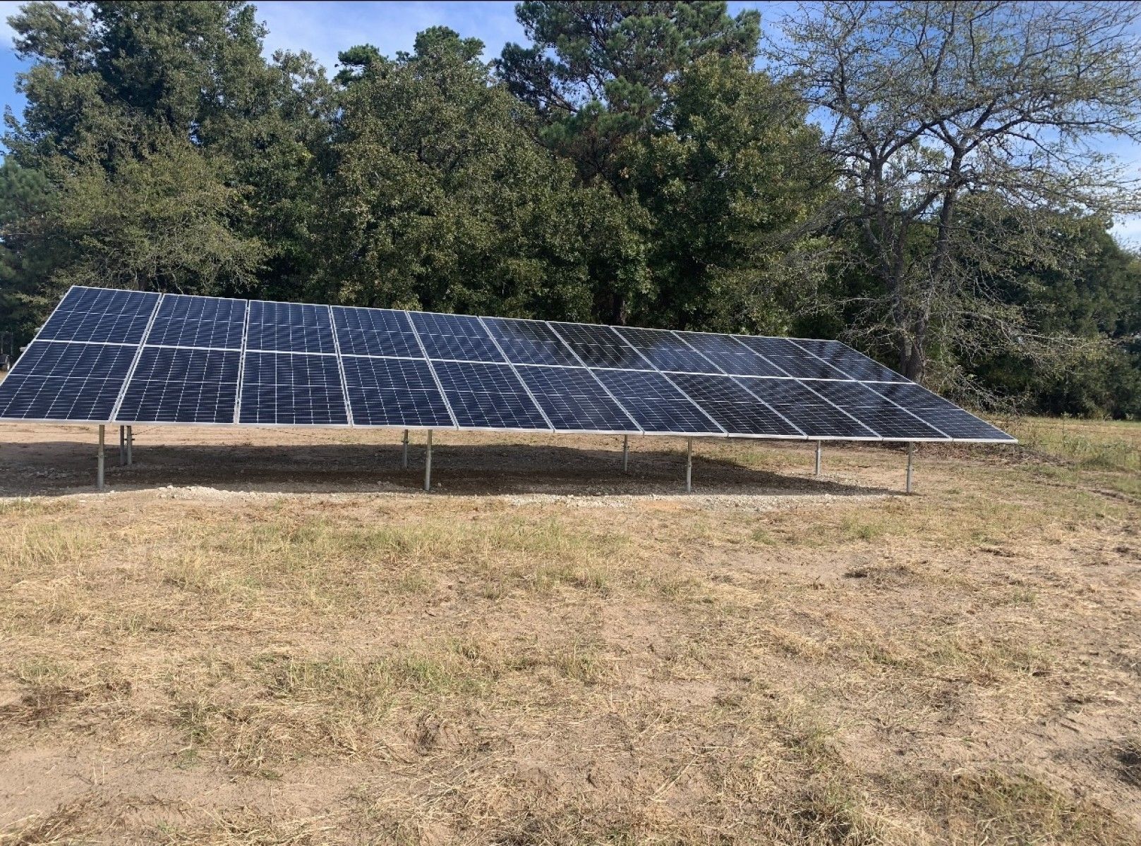 A ground-mounted solar panel array stands in a grassy field in front of a line of trees under a blue sky.