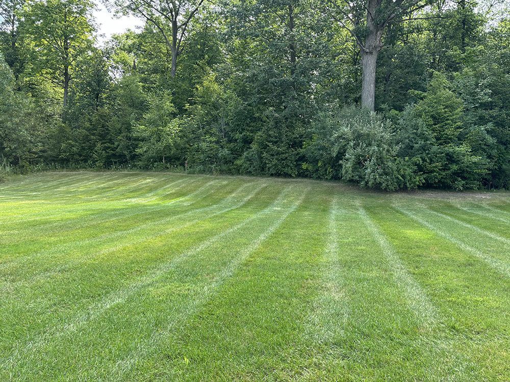 Freshly mowed green lawn with curved stripes beside dense trees and shrubs