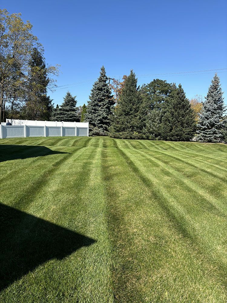 Sunny lawn with striped grass, trees, and a white fence under a clear blue sky