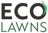 Eco Lawns logo in black and green with a leaf forming the &ldquo;O&rdquo;