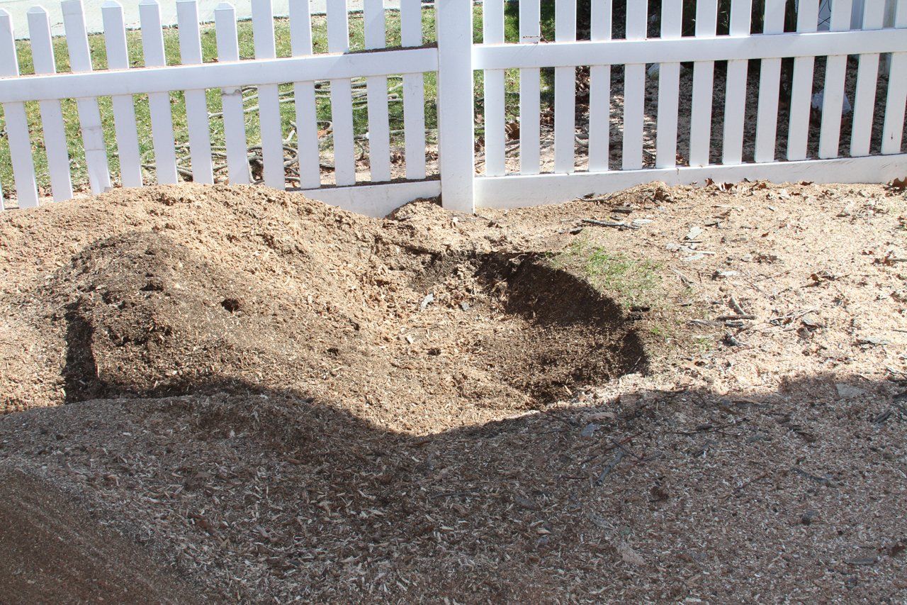 Tree Removal Cheap Charlie's Tree Service East Islip, NY