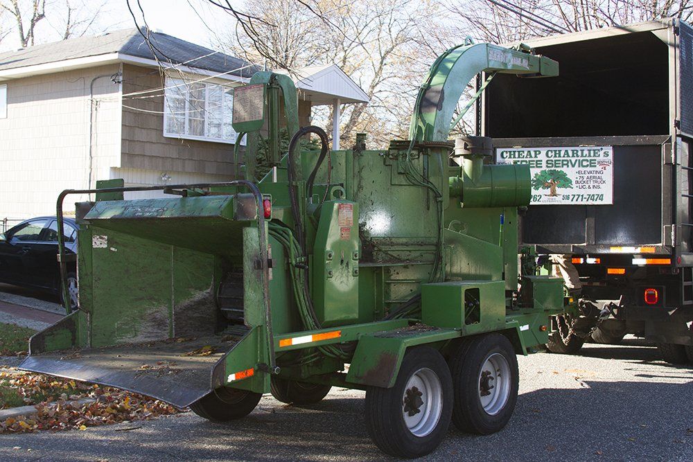 Gallery Cheap Charlie's Tree Service