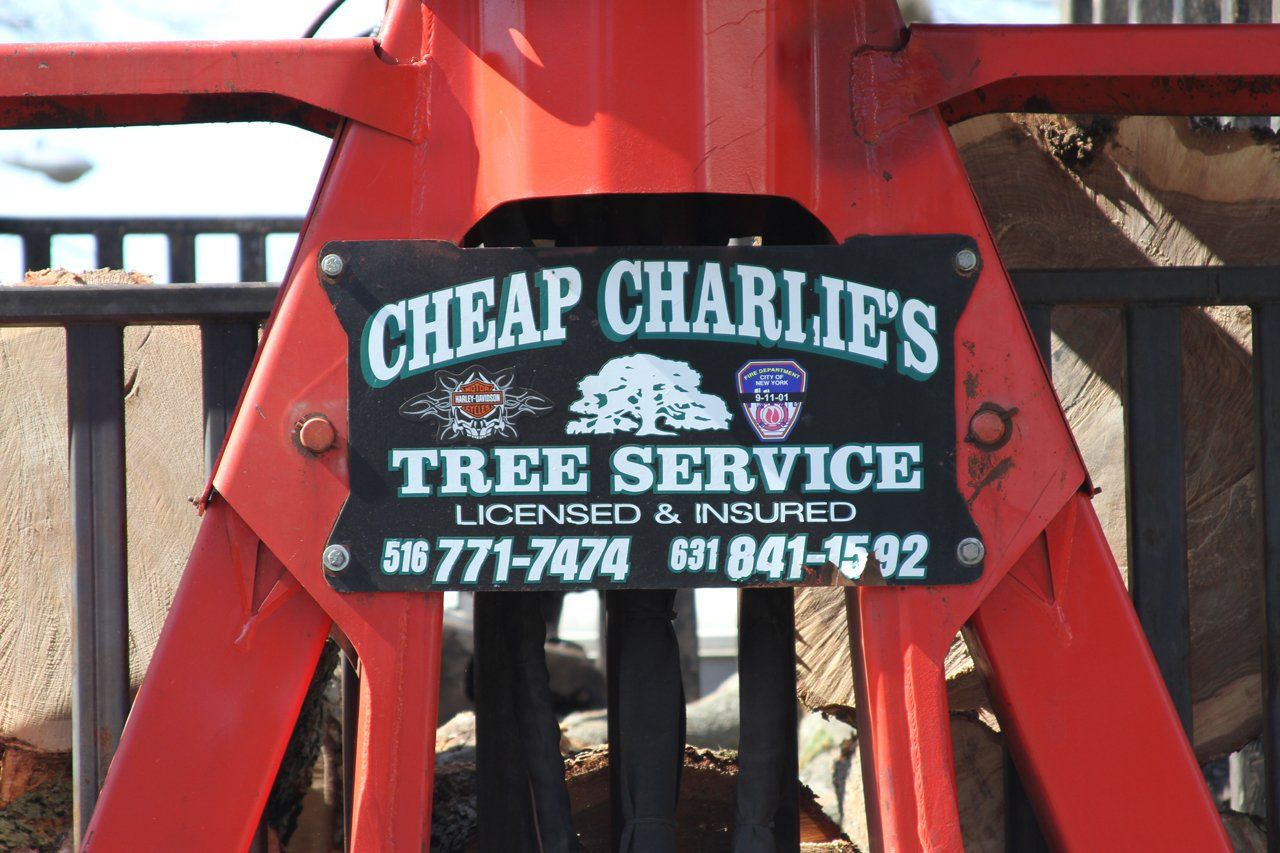 Gallery Cheap Charlie's Tree Service