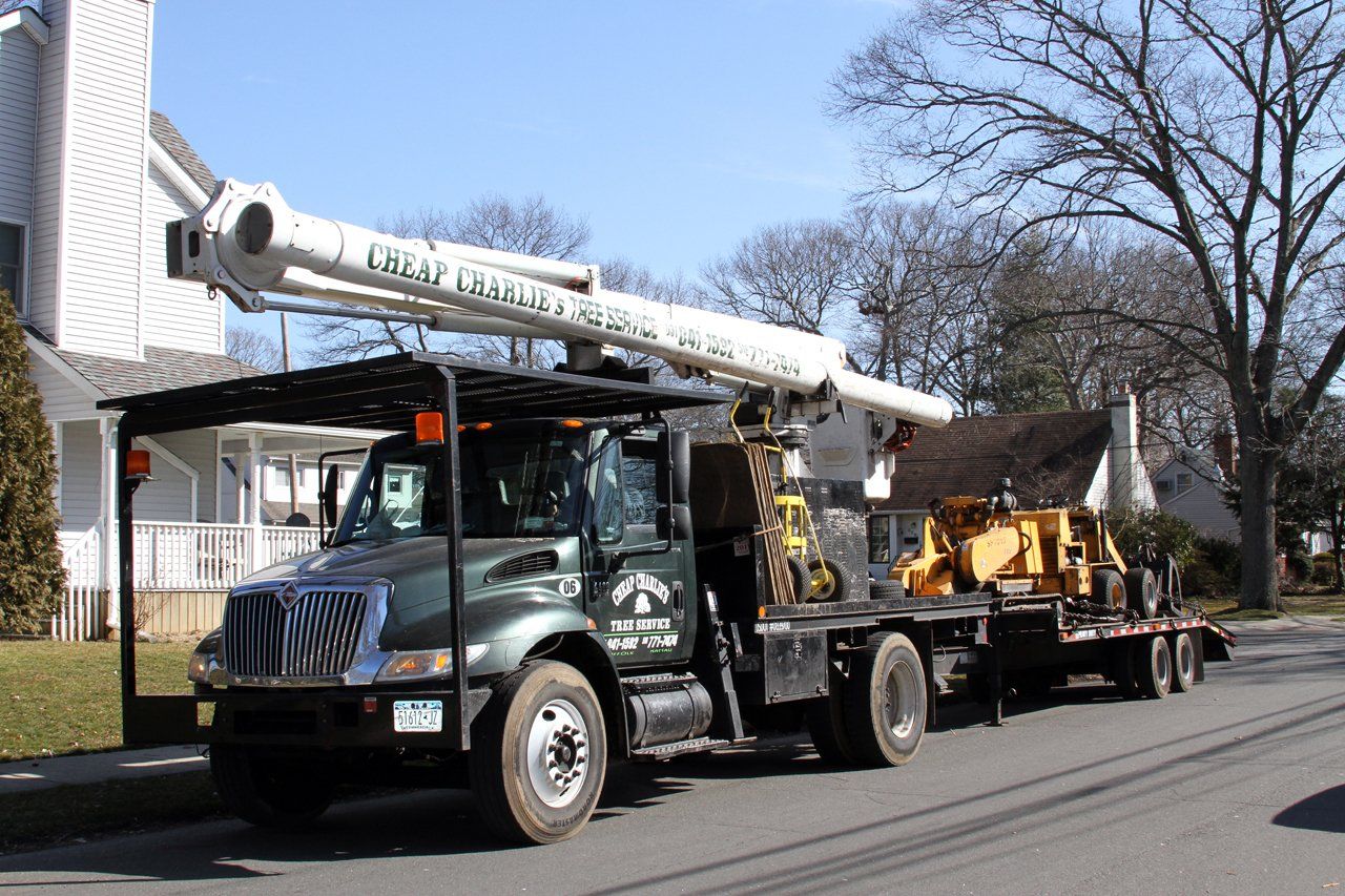 Gallery Cheap Charlie's Tree Service