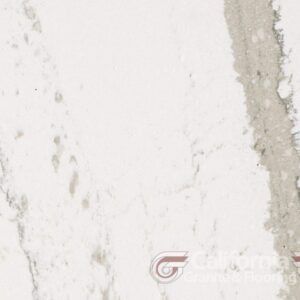 White marble slab with grey veining.