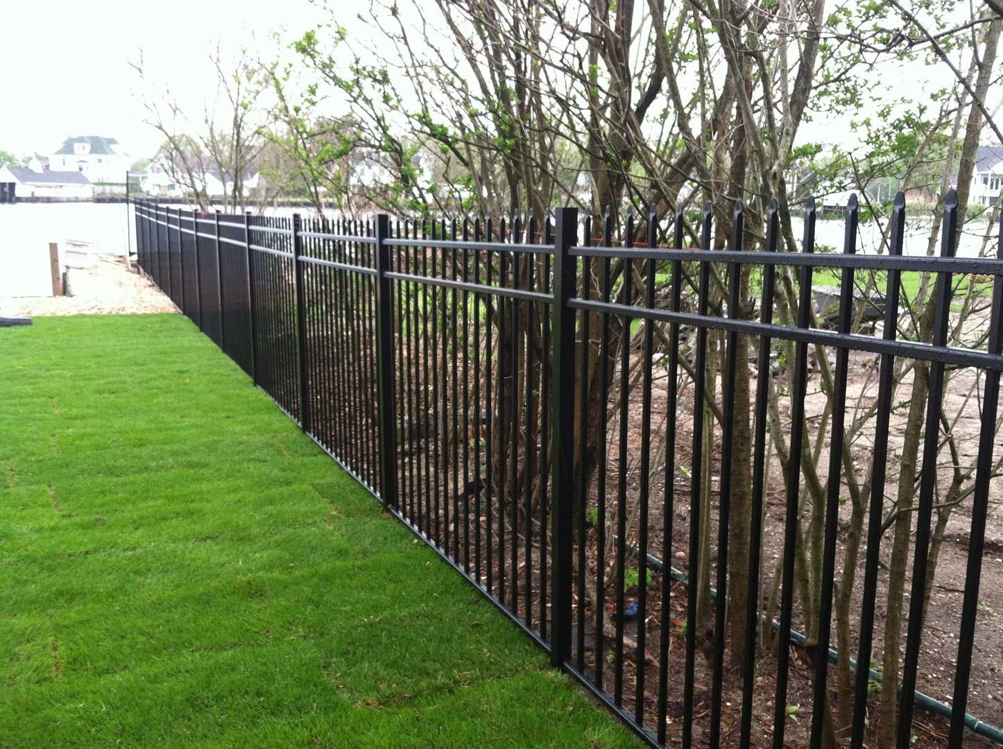 Black metal fence bordering green lawn and thin trees.