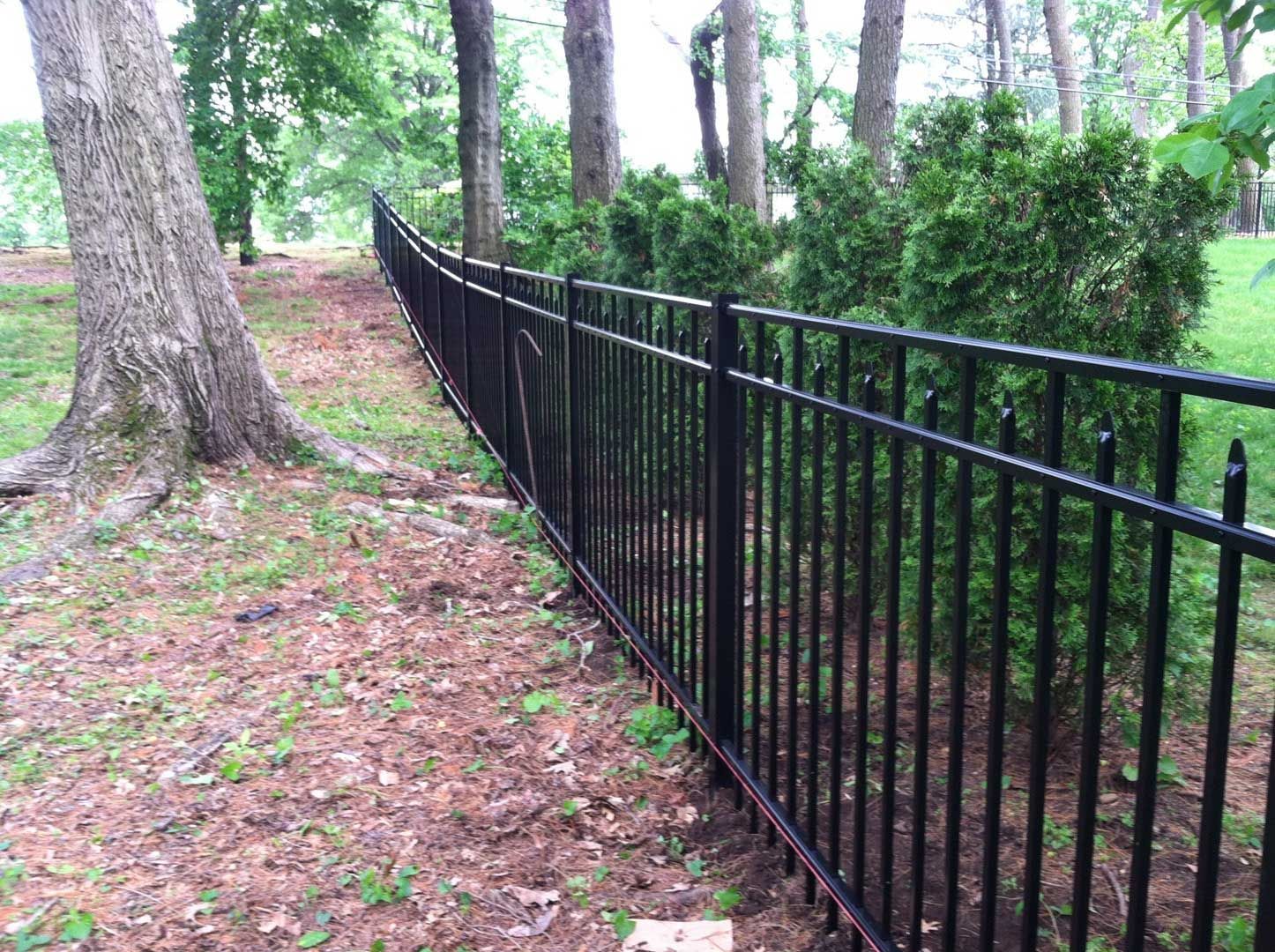 Black metal fence bordering a wooded area with trees and shrubs.