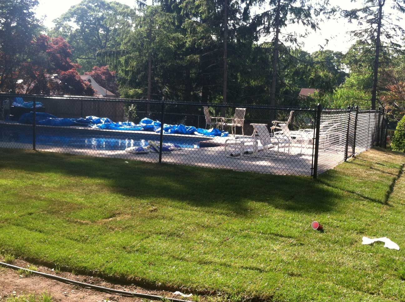 Backyard with a swimming pool, enclosed by a black chain-link fence. Patio furniture sits near the pool's edge, surrounded by grass.