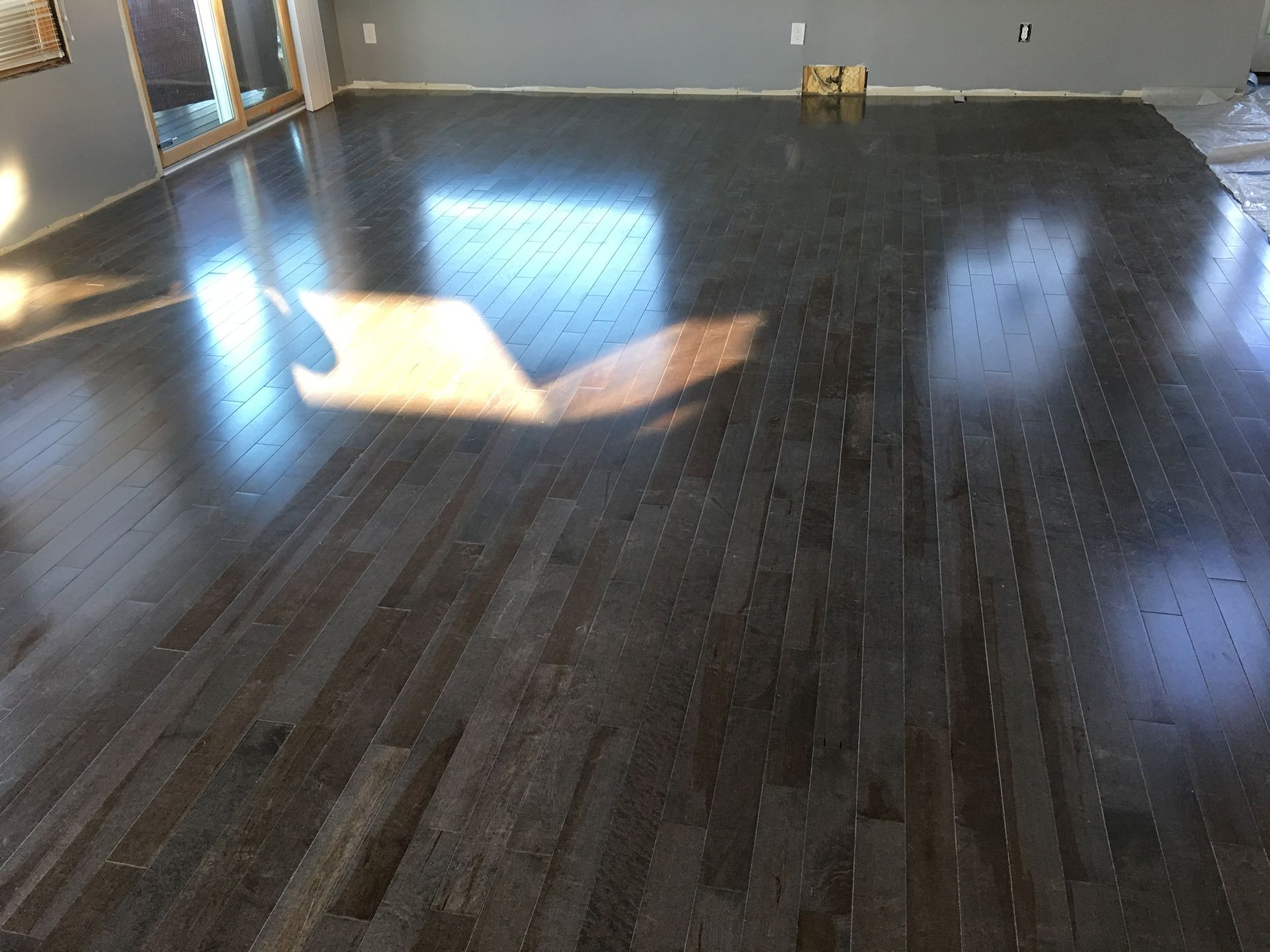 Empty room with dark hardwood floors and bright sunlight reflecting across them