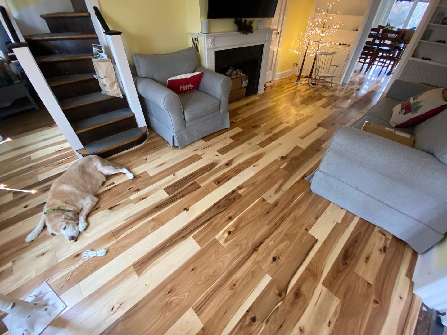 Living room with wood floors, gray sofas, stairs, fireplace, and a dog lying on the floor