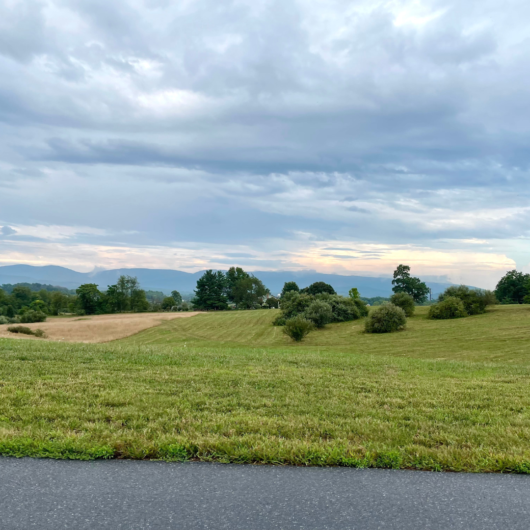 The Estates of Ana Marie