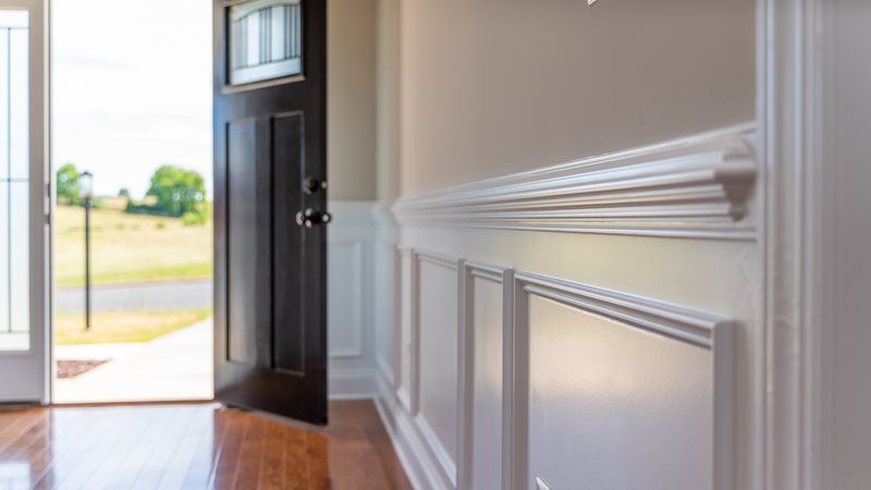 Entryway with open dark door, white paneling, and a view of green landscape.