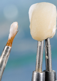 tooth