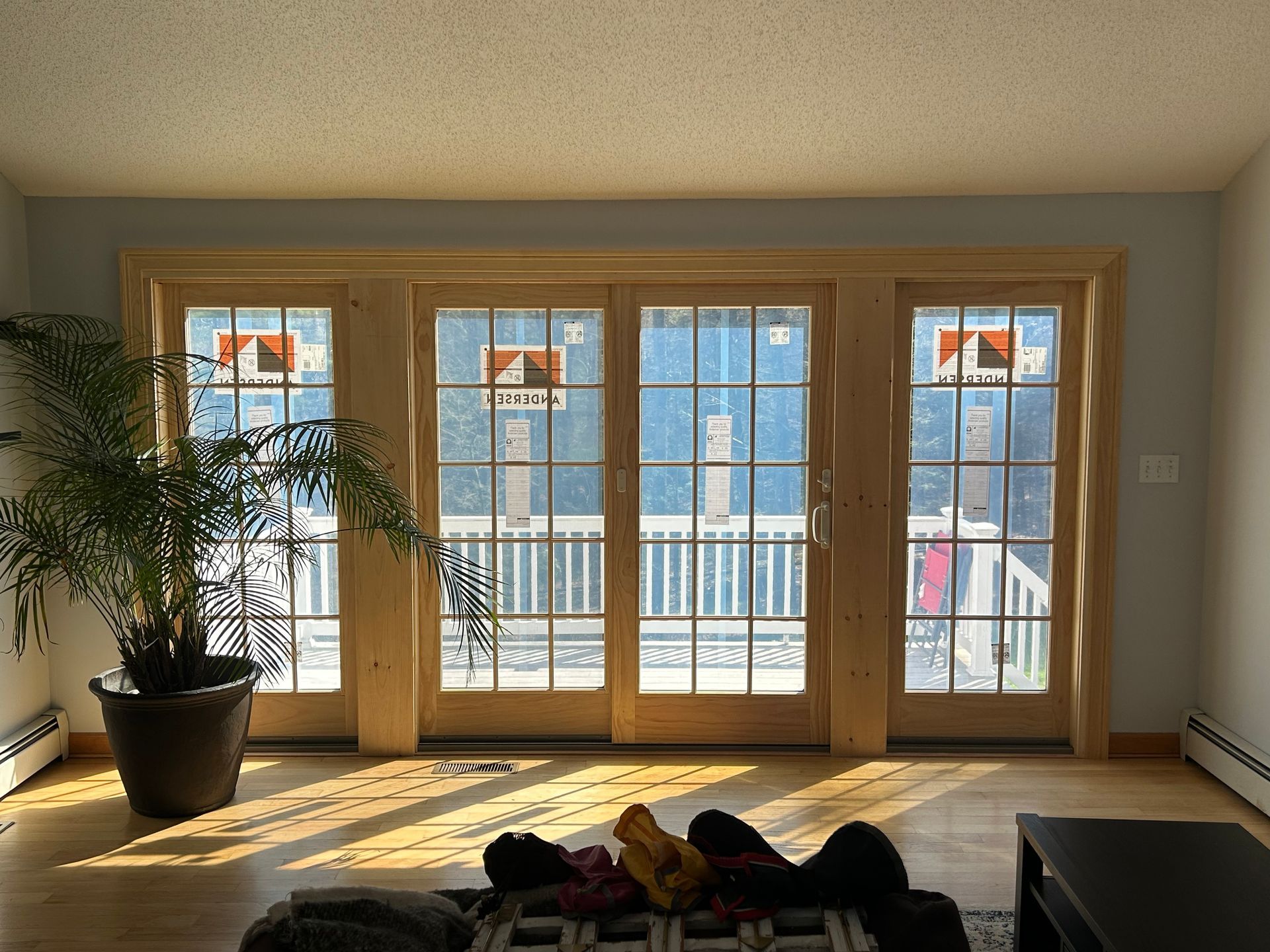 Sunlit living room with large wooden French doors, potted plant, and a small dog on the floor