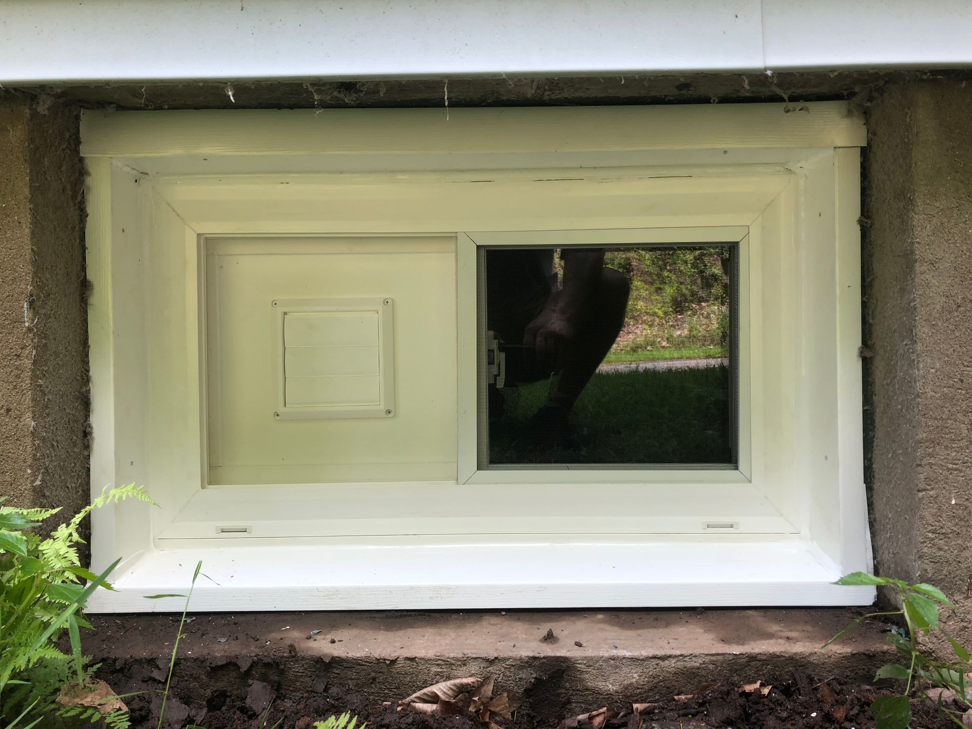 Small basement window with a white frame, showing dark interior and greenery outside