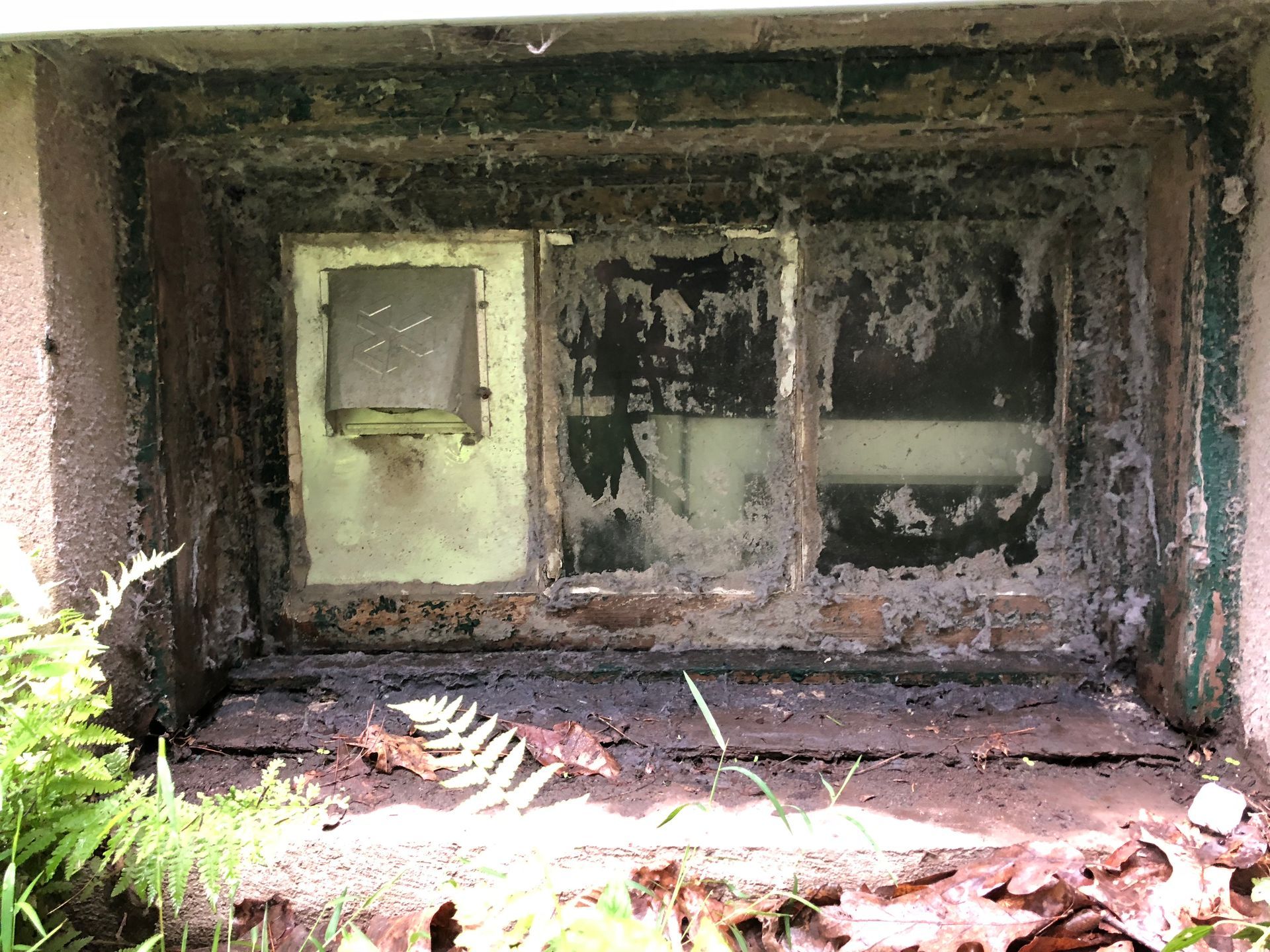 Deteriorated concrete niche with peeling paint, broken window panels, and mossy overgrowth.