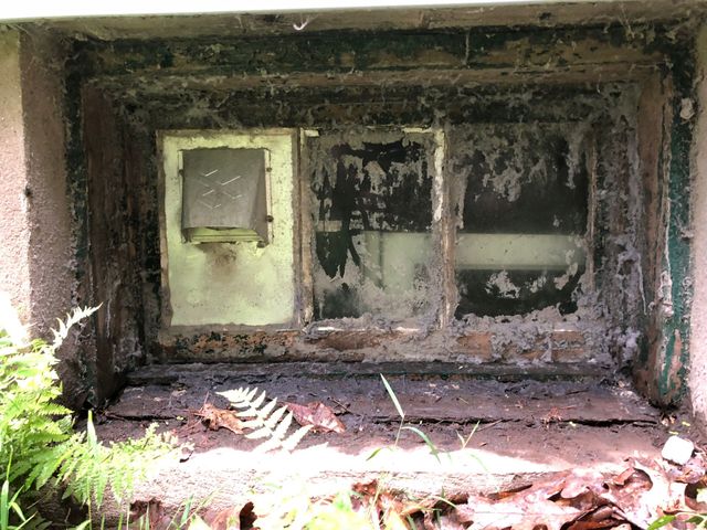 Weathered concrete alcove with peeling paint, a small window, and overgrown plants in front.