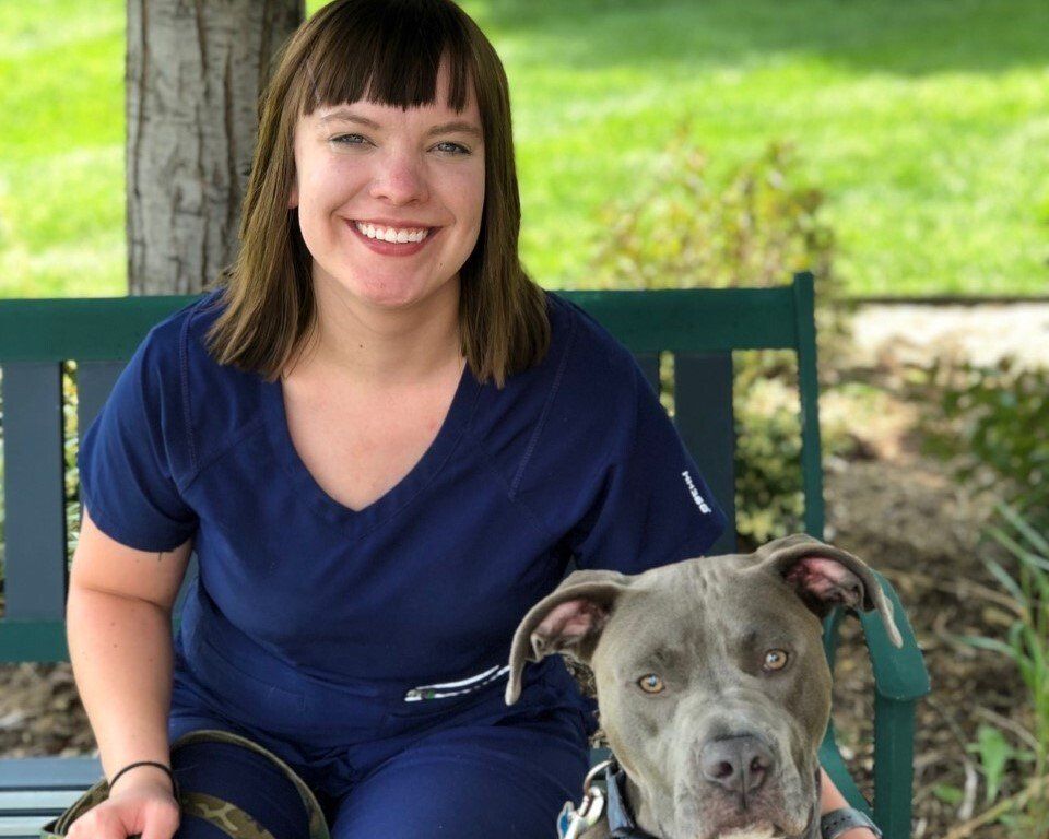 About Solomon Veterinary Clinic and Staff Wichita, KS Vet