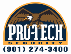 Pro-Tech Security Inc logo