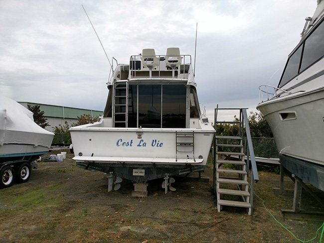 Marine window tinting