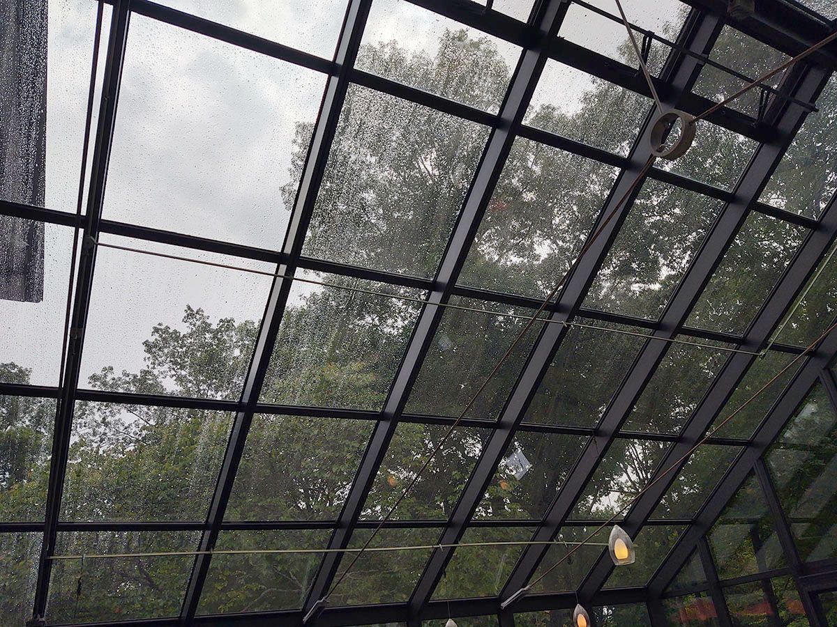 roof glass tint