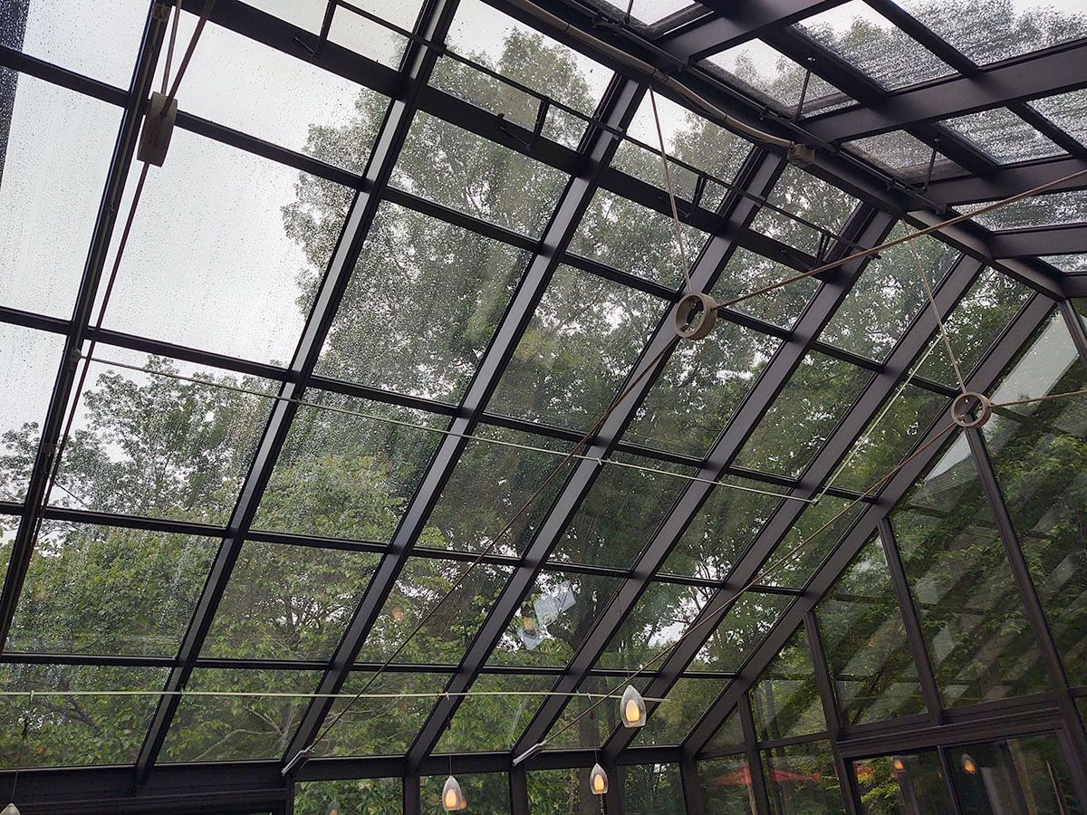 window and roof tinting