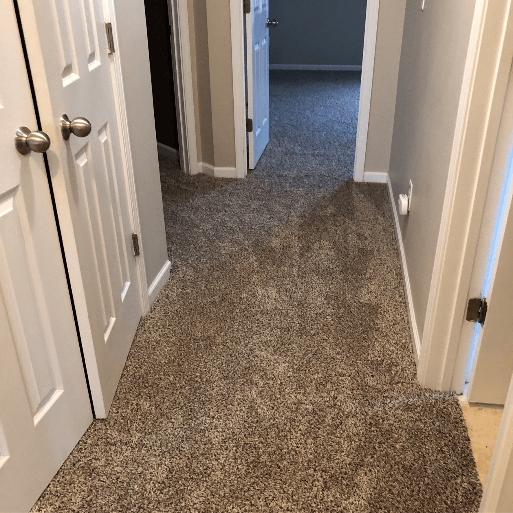 Residential Carpet