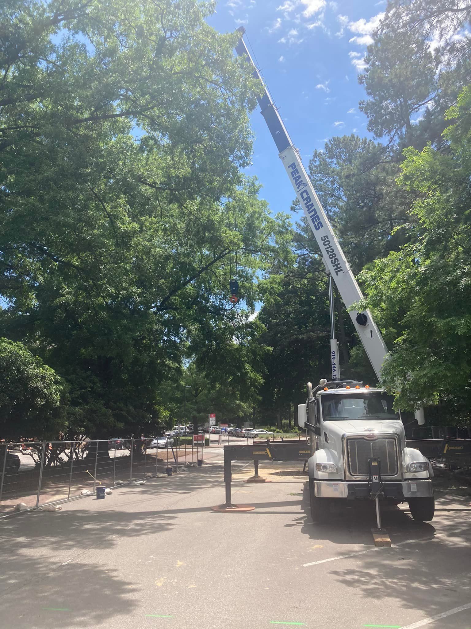 Truck with extended crane arm trimming tree in a park.