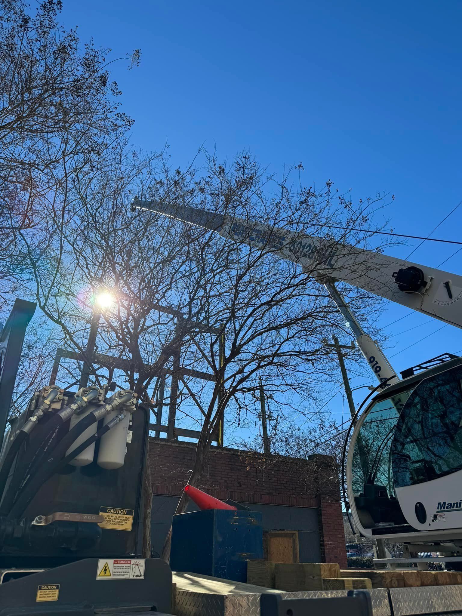 Cherry picker trimming tree branches against a bright blue sky.