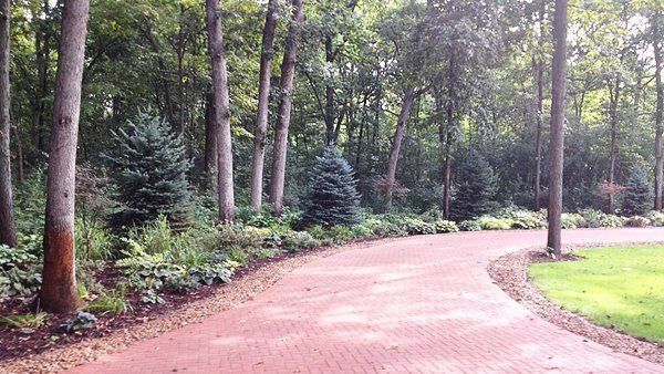 A brick driveway in the middle of a forest.