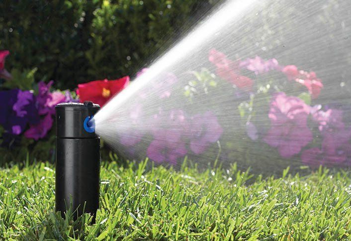 A sprinkler is spraying water on a lush green lawn.