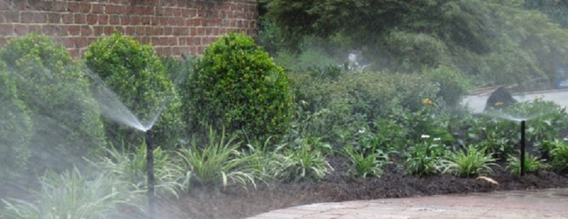 A sprinkler is spraying water on a lush green garden.