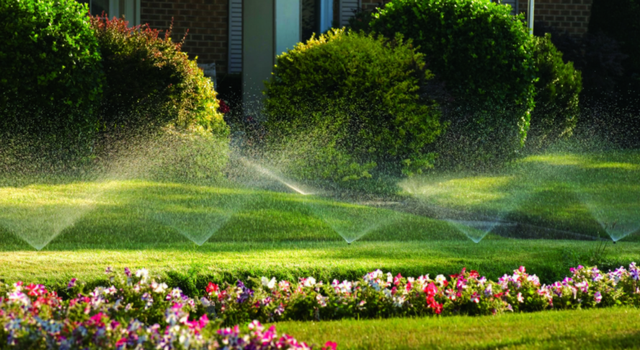 A lawn with sprinklers spraying water on it and flowers in the foreground.