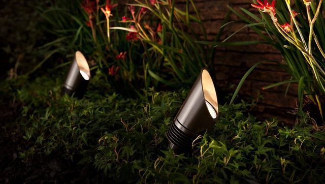 Two spotlights are sitting in the grass in a garden at night.