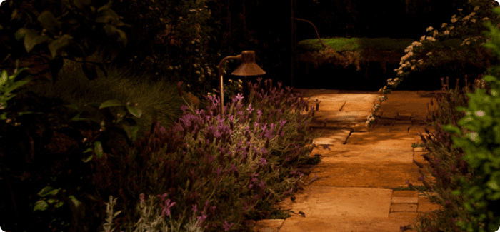 A stone walkway is lit up at night in a garden with purple flowers.