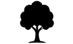 Acorn Tree Service