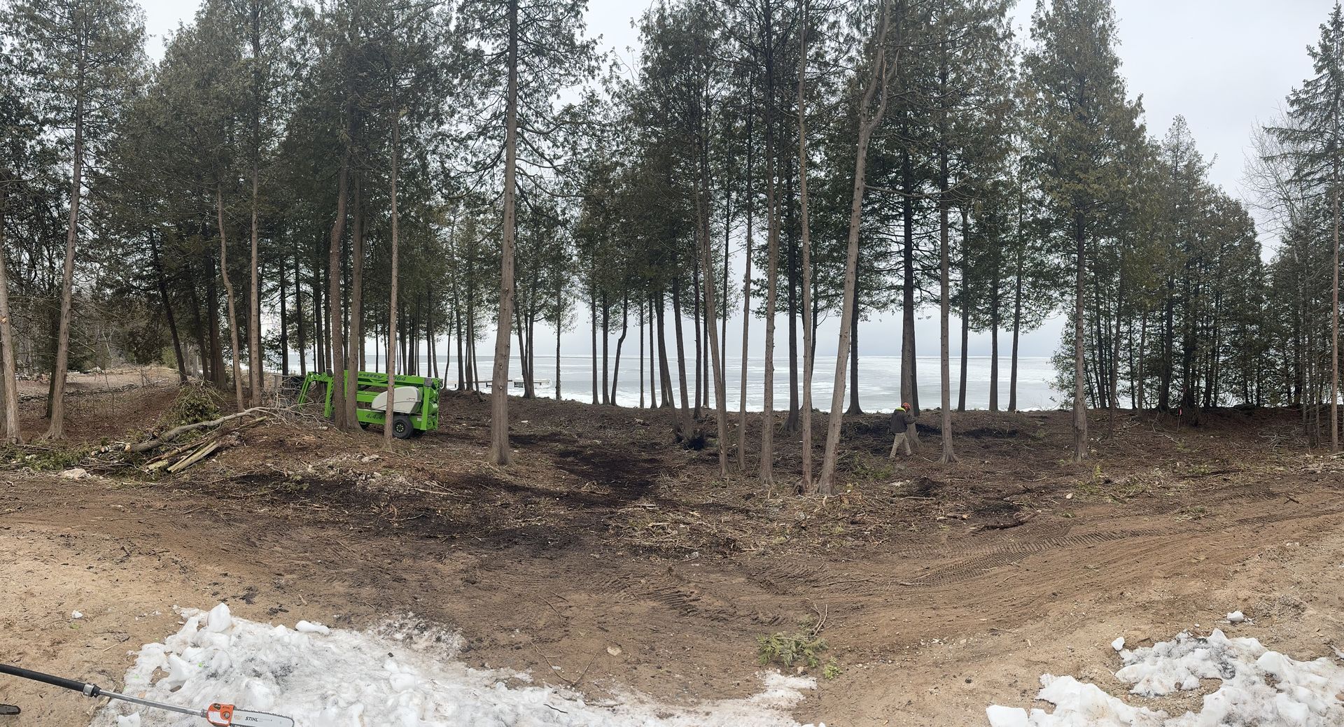 Forested clearing with a green excavator and dirt piles under overcast sky.