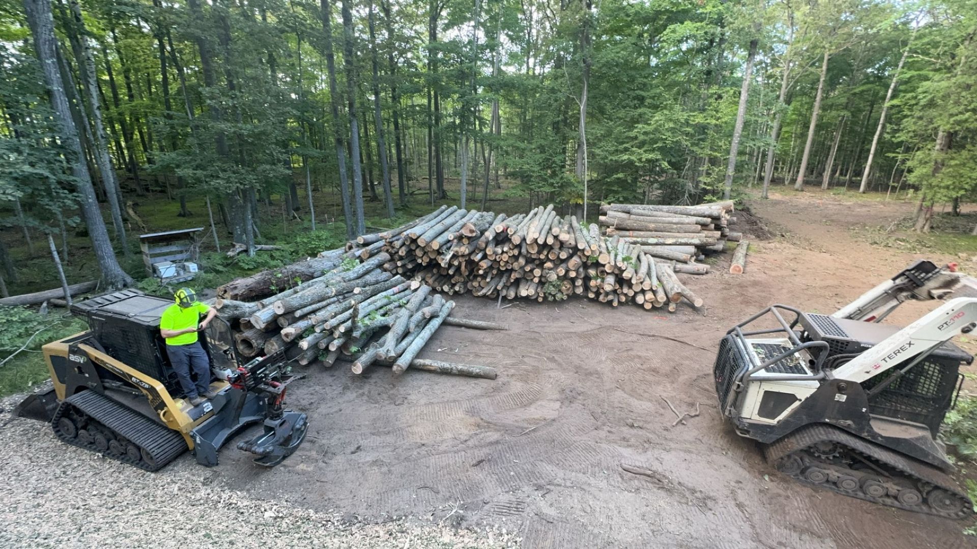 Two skid steer loaders beside a large pile of cut logs in a wooded clearing.