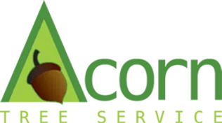 Acorn Tree Service