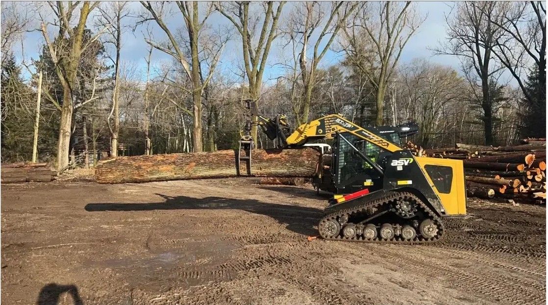 Two arborists in orange gear cutting a large tree branch in a wooded area