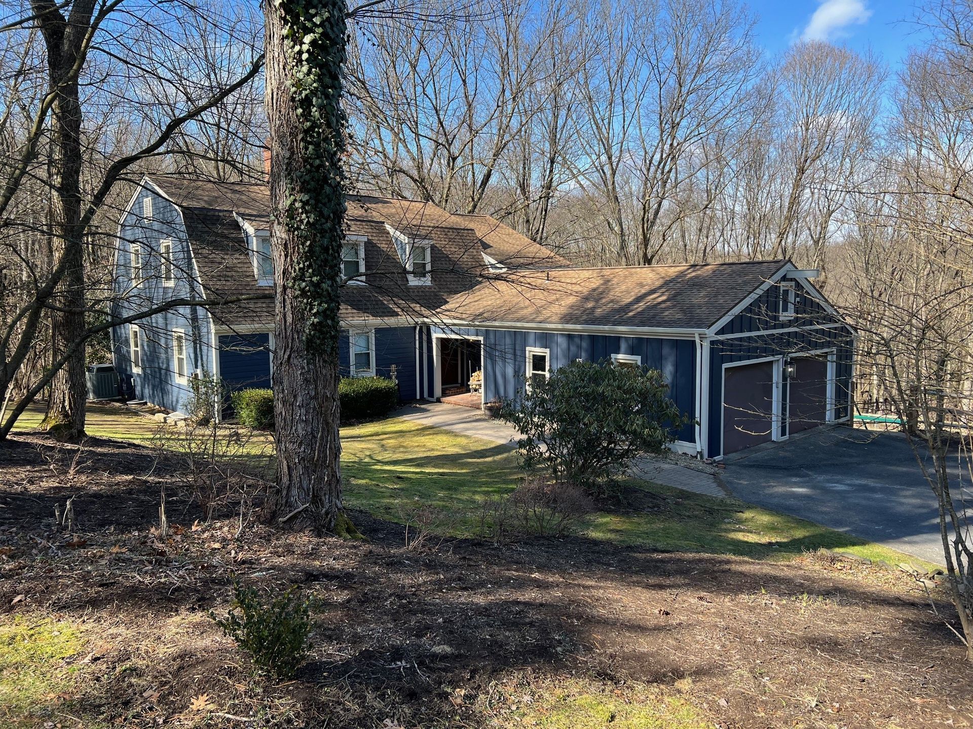 A blue house in the middle of a forest