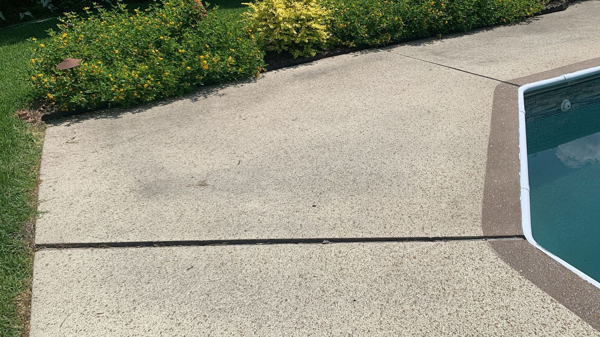 Concrete pool deck with pool edge, shrubs, and grass.