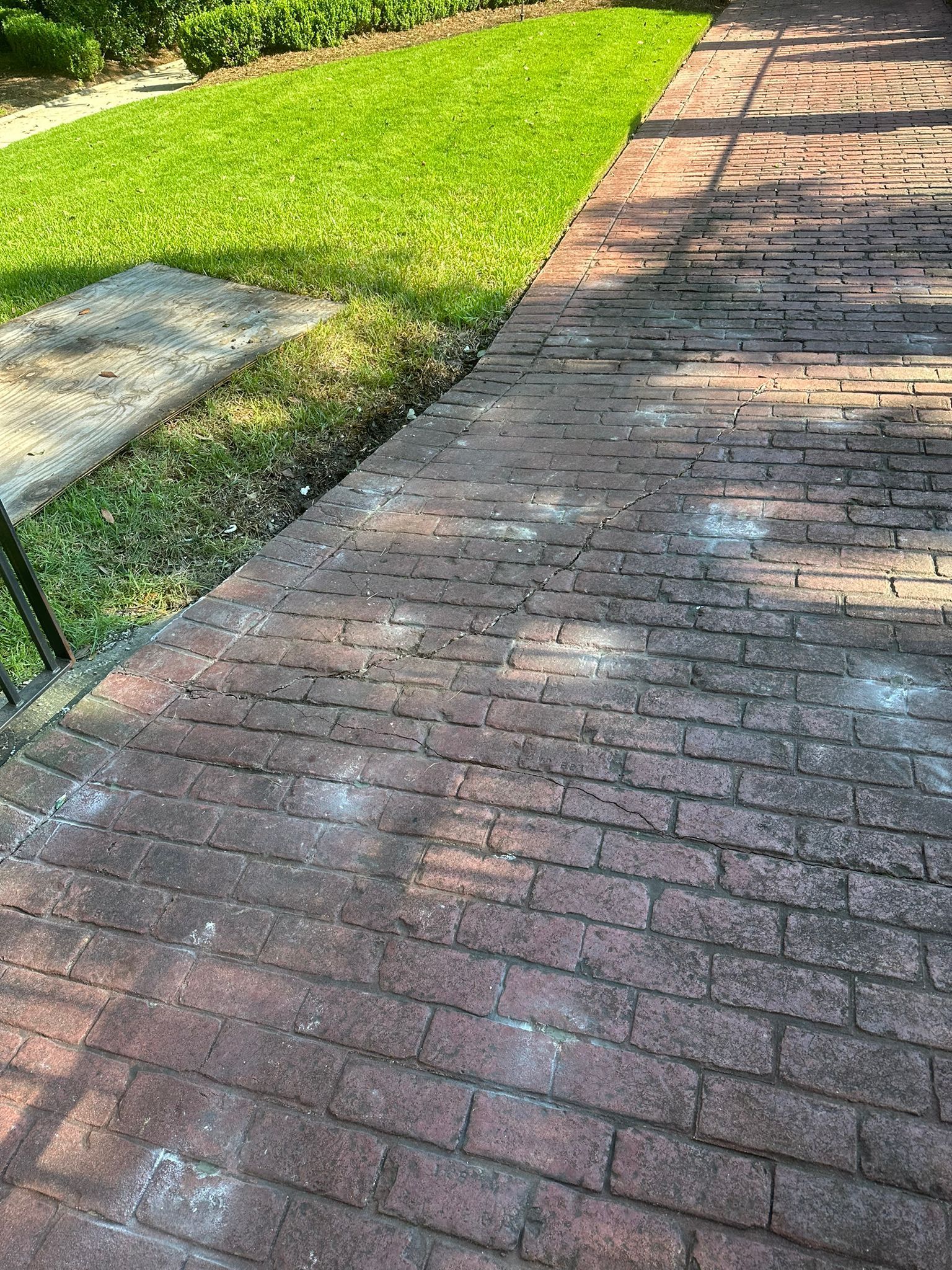 Brick walkway next to bright green grass. White bird droppings spot the path.