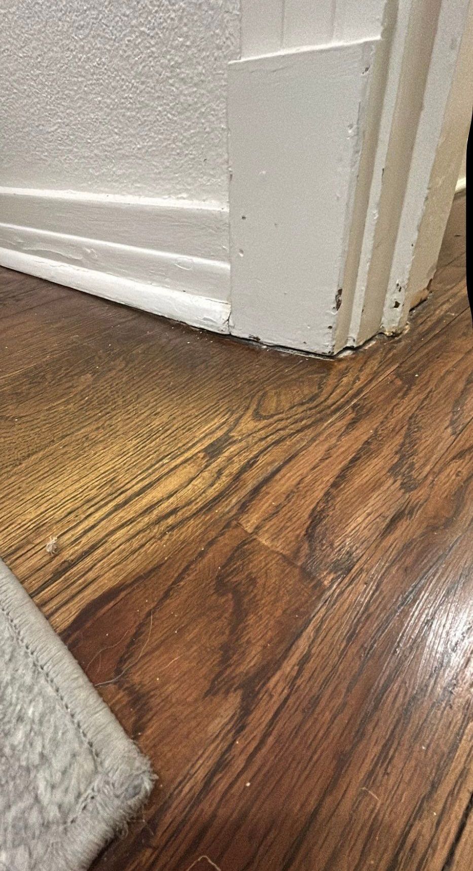Close-up of wooden floor meeting a white painted wall and trim. A gray rug is in the bottom left corner.