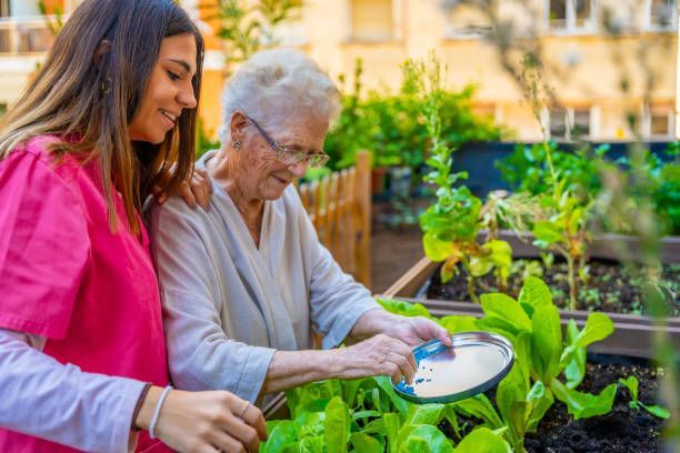 sensory garden for elderly with dementia