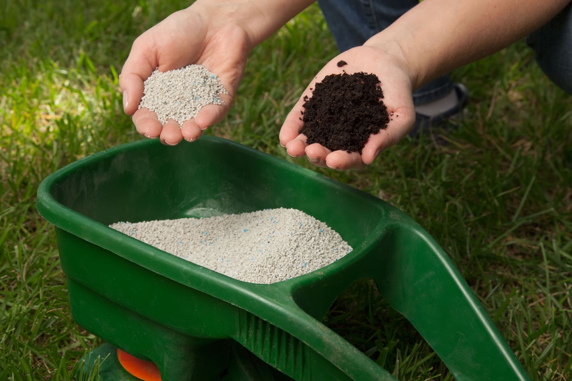 fertalization