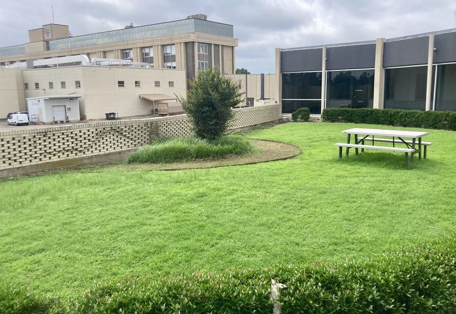 Lawn with sitting area