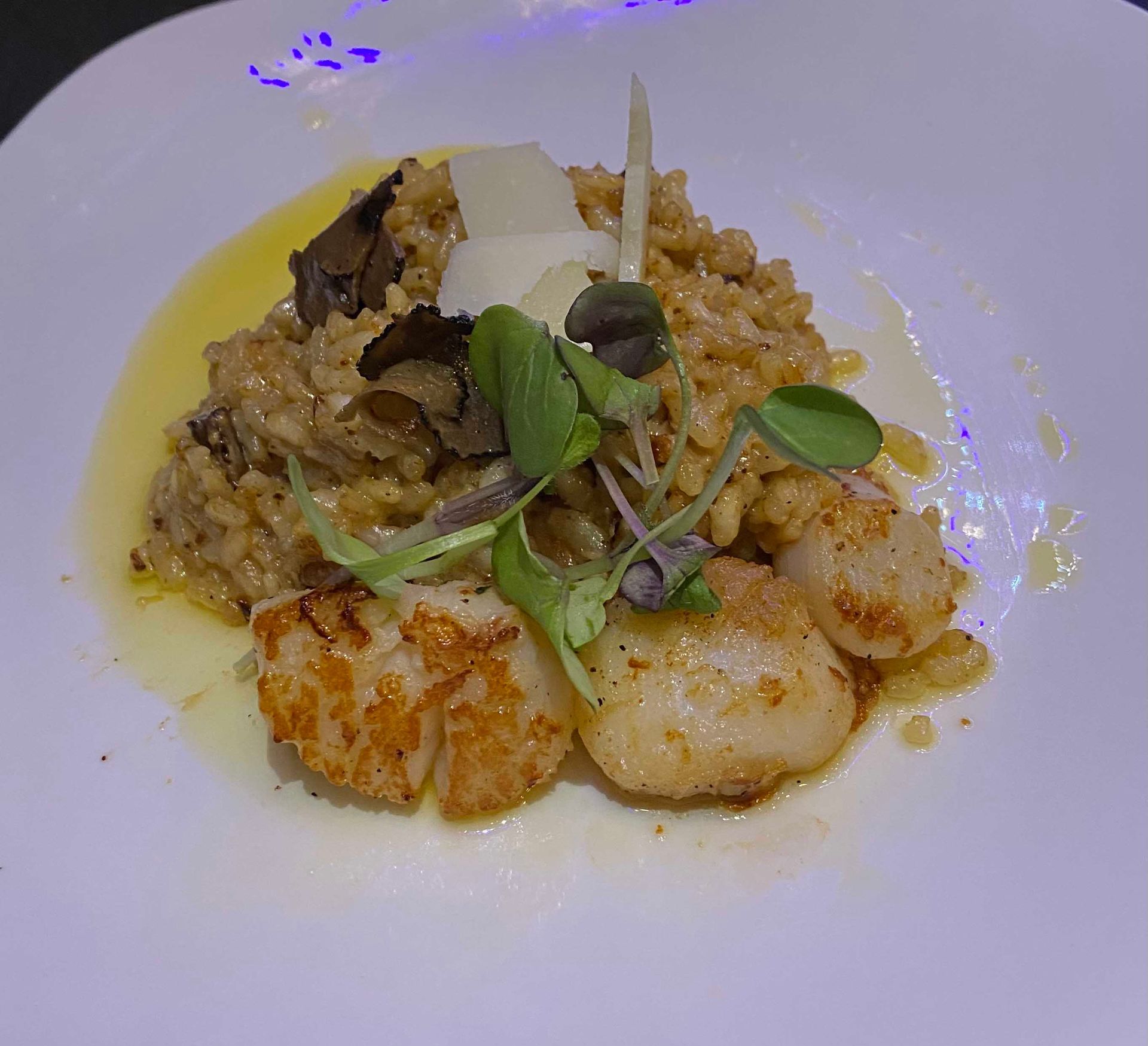 Seared scallops with risotto, truffle, and microgreens on a white plate.