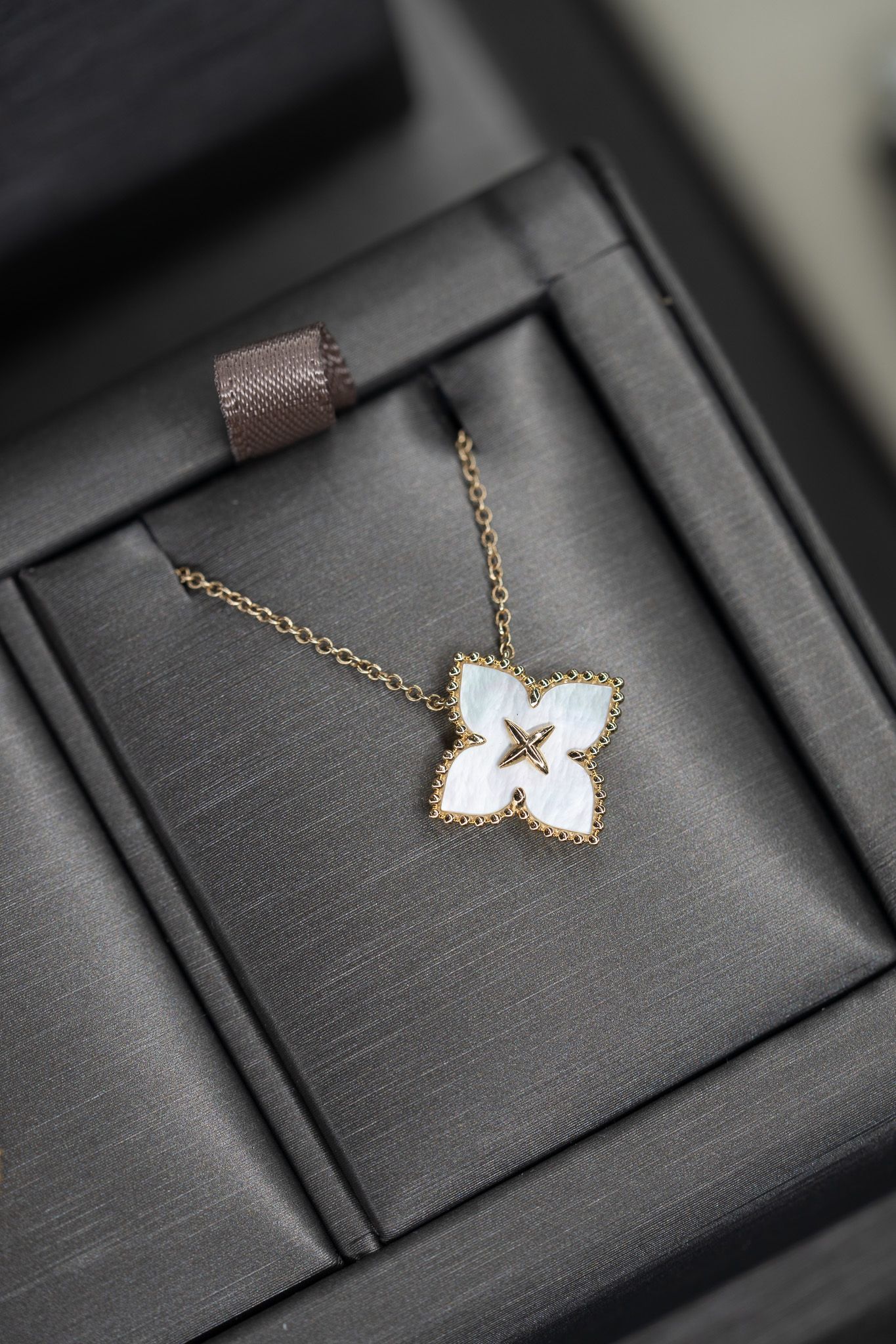 Gold necklace with white clover pendant displayed in a black jewelry box.