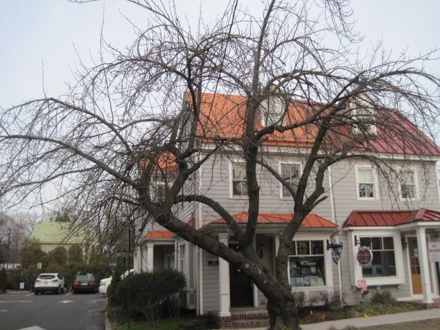 A house with a red roof and a tree in front of it.